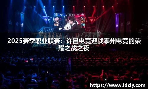 2025赛季职业联赛：许昌电竞迎战泰州电竞的荣耀之战之夜