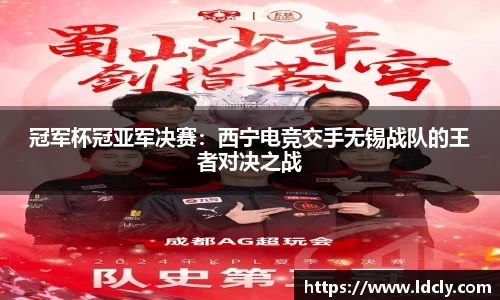 冠军杯冠亚军决赛：西宁电竞交手无锡战队的王者对决之战