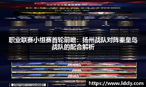 职业联赛小组赛首轮前瞻：扬州战队对阵秦皇岛战队的配合解析